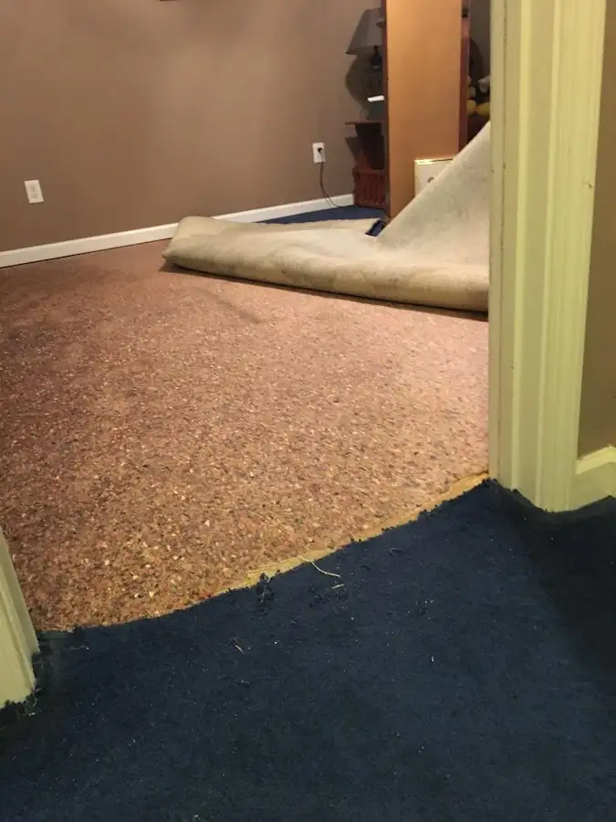 Carpet pad removal revealing water damage during Water Mitigation Services in Fort Lauderdale