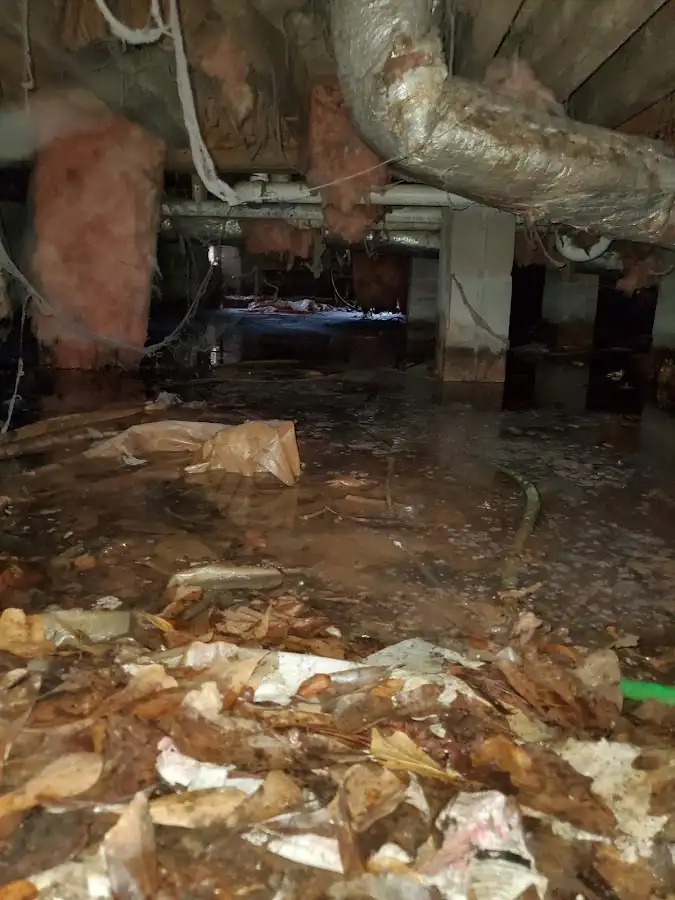 Crawl space flood assessment for Leak Detection & Repair in Fort Lauderdale